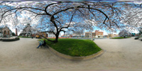 Under the blossoms in spring time
